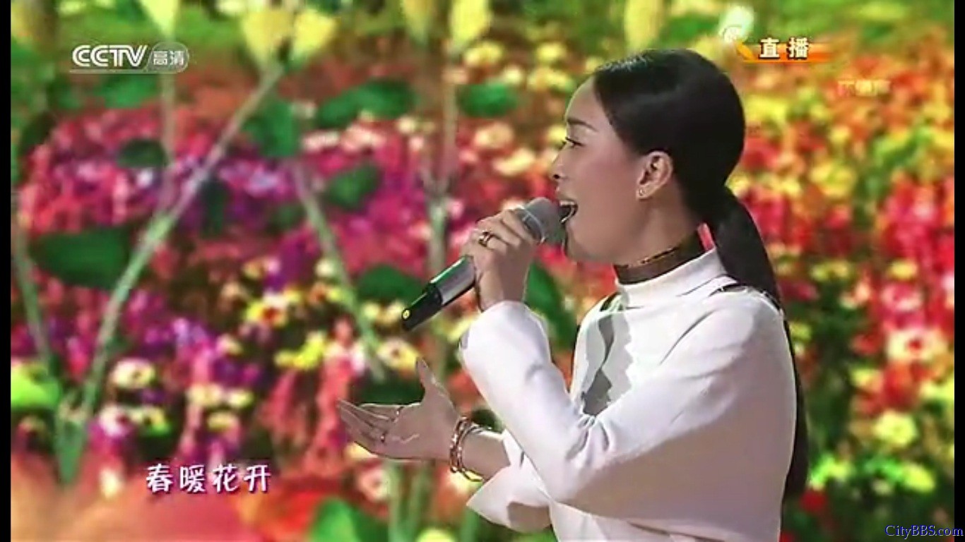 2013年蛇年春节联欢晚会那英演唱《春暖花开》