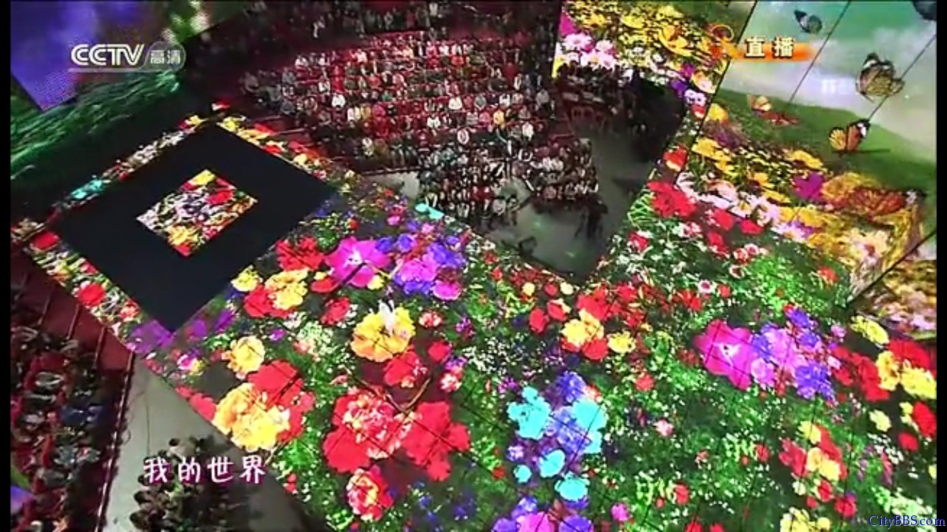 2013年蛇年春节联欢晚会那英演唱《春暖花开》