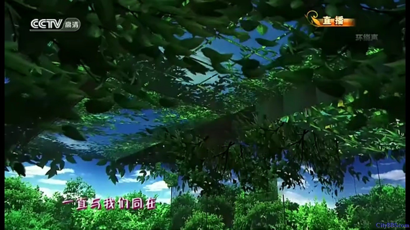 2013年蛇年春节联欢晚会那英演唱《春暖花开》