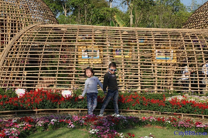 ChiangMai_Royal_Flower_Flora
