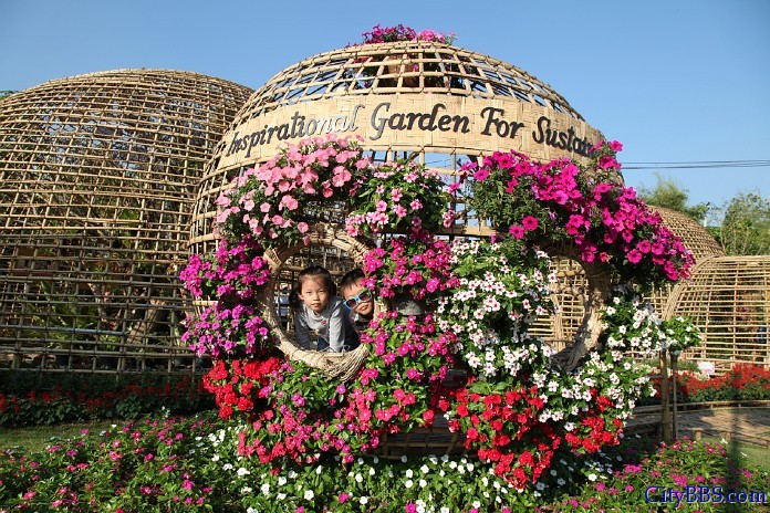 ChiangMai_Royal_Flower_Flora