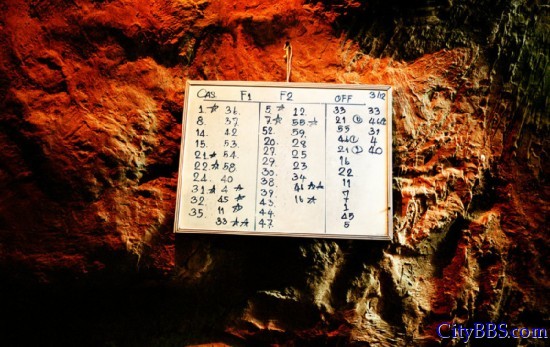 　　这些酒吧都建立了一整套严密的盈利机制，“胡萝卜加大棒”是被广泛运用的激励方式：一周内接客最多的女 ...