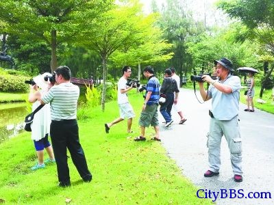 记者跟团拍摄旅游团游览是否文明