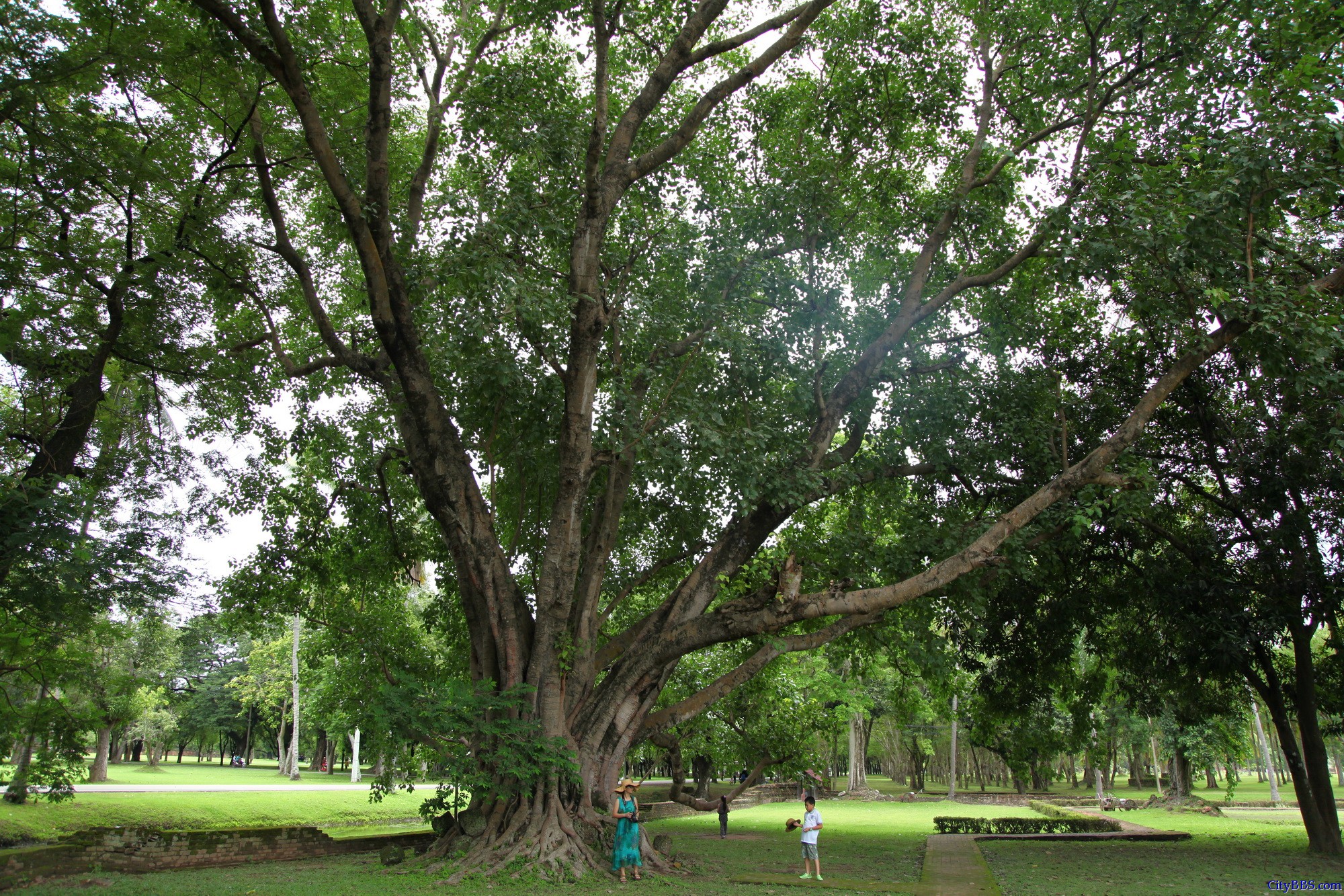 素可泰历史文化公园（SUKHOTHAI HISTORICAL PARK）