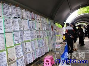 台媒探访公园相亲角：在这里窥见上海人的择偶观