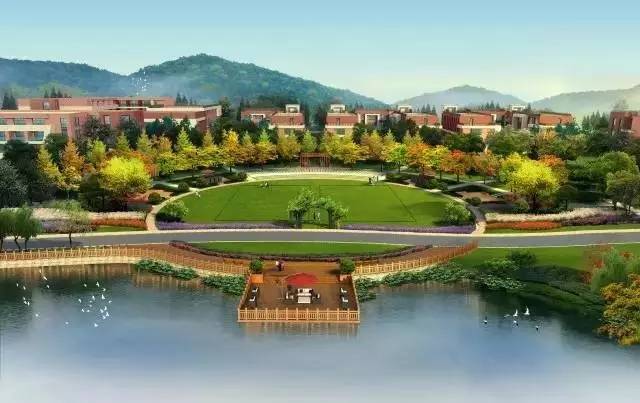 同居式养老抱团养老模式在美国德国备受追捧