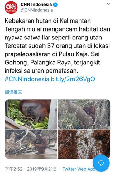 泰国曼谷，建筑被雾霾笼罩