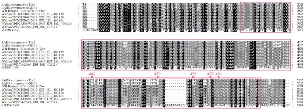 新型冠状病毒进化来源和传染人分子作用通路