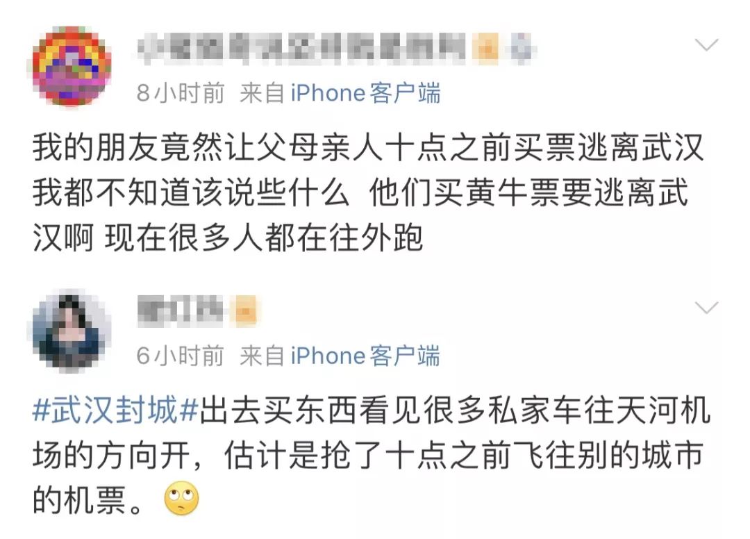 就在武汉封城前夜29.9万人逃离武汉奔向各地