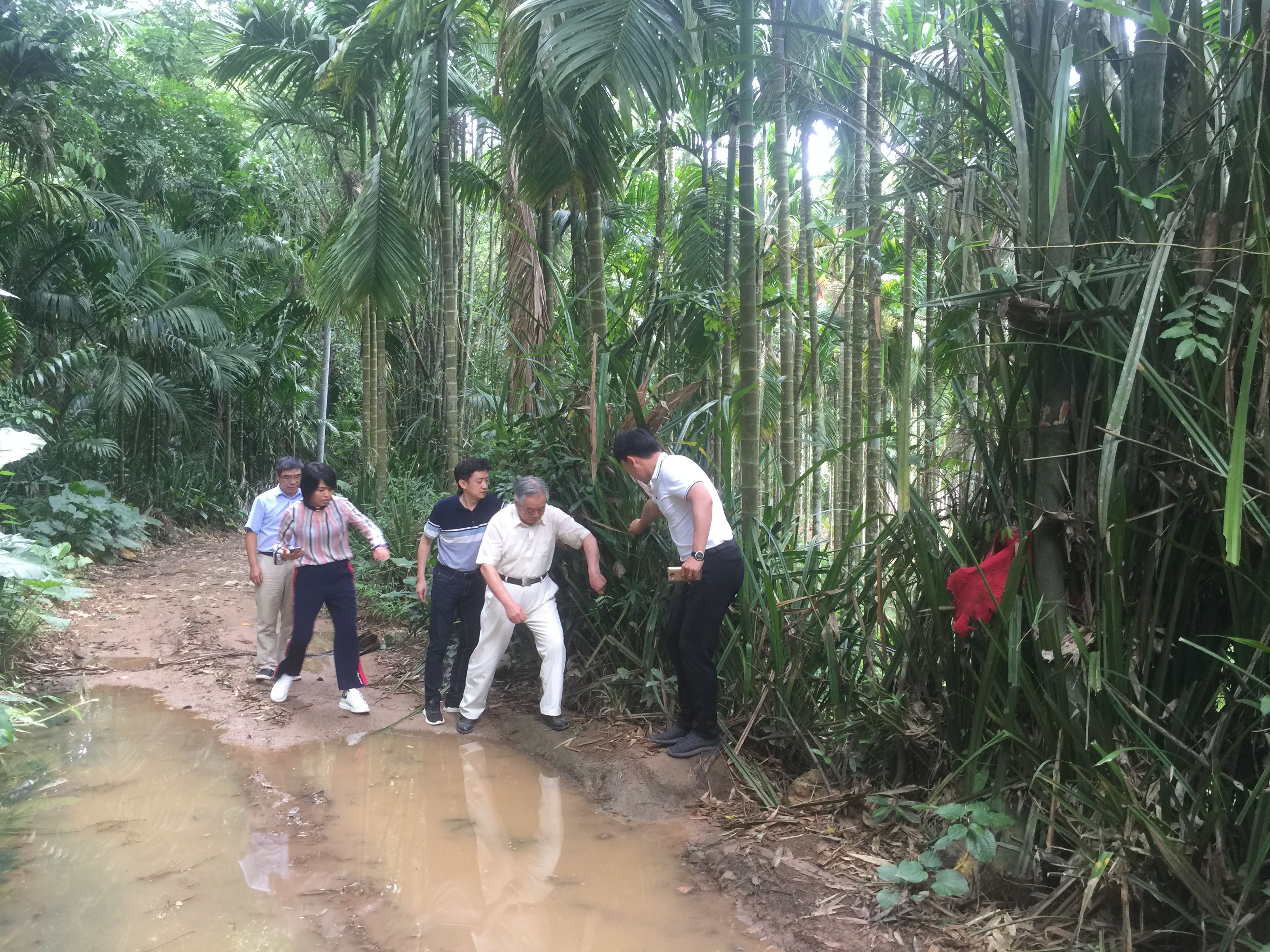顶风而上、肆无忌惮，中央环保督察组这样批海南