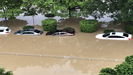 广州一夜成河破历史纪录强降雨致4人死亡