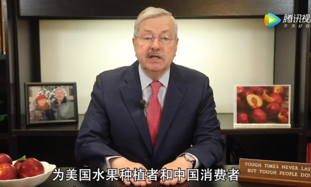 美大使离任原因果然是特朗普 这3年他忙啥6.png