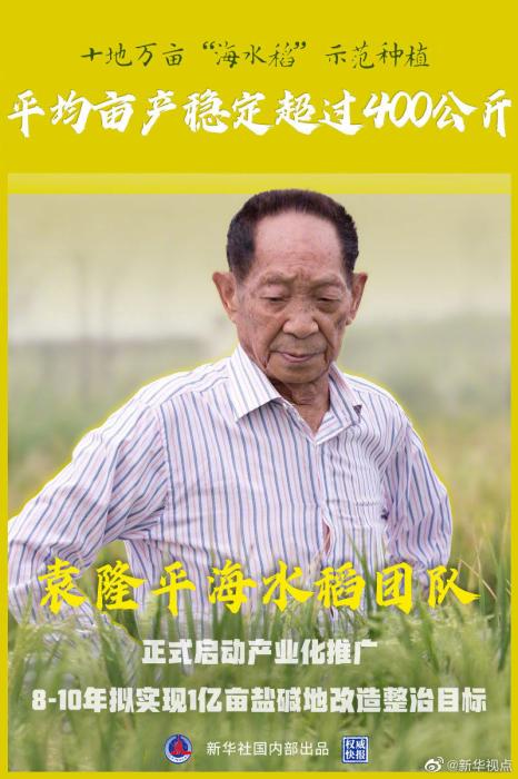 海水稻