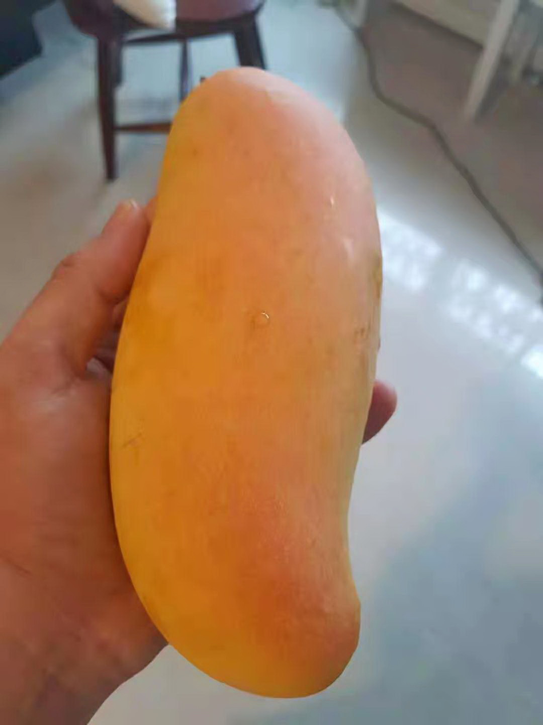 迷人的水果