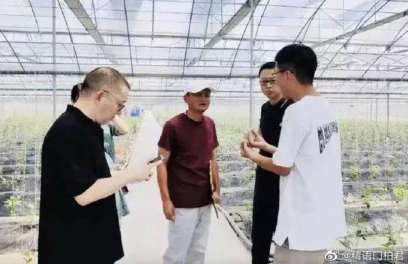 马云低调现身考察农棚为共同富裕或打农业战