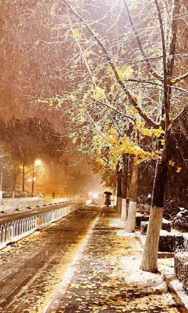 北京初雪又急又猛变暴雪断崖式寒流提前报到