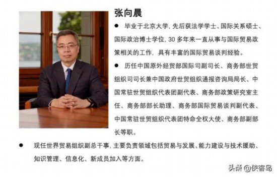 世贸组织副总干事张向晨