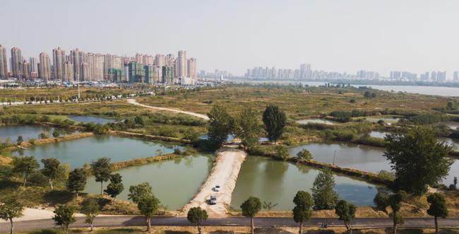 蚌埠龙子湖湿地周边建设情况
