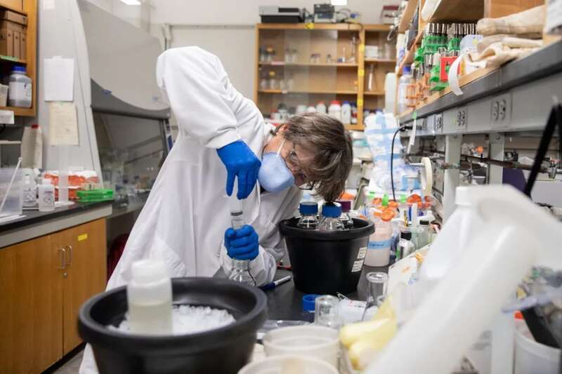 昆士伯勒社区学院（Queensborough Community College）的微生物学家莫妮卡·特鲁希略 ...