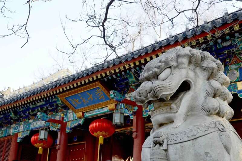 北京大学
