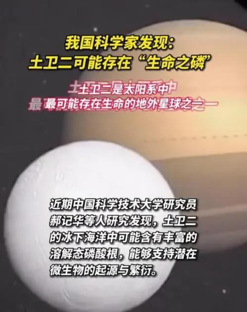 土卫二含高浓度磷元素