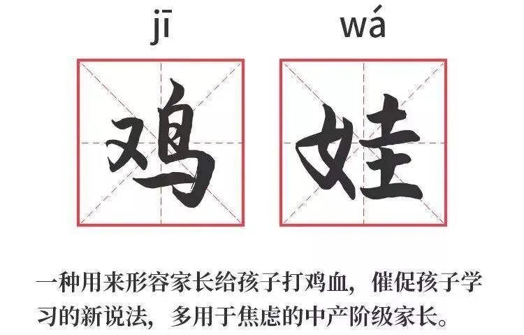 鸡娃 打鸡血
