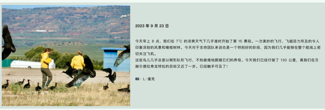 你甚至还能在Waldrappteam团队的官方网站上看到他们每两天更新一次的飞行日记 ...