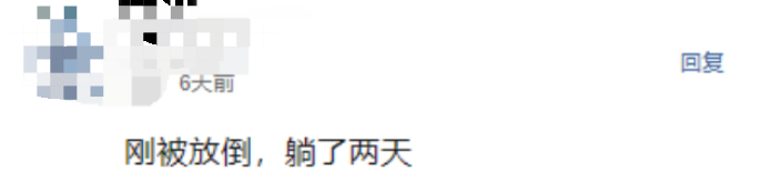 多伦多有很多华人都中招了