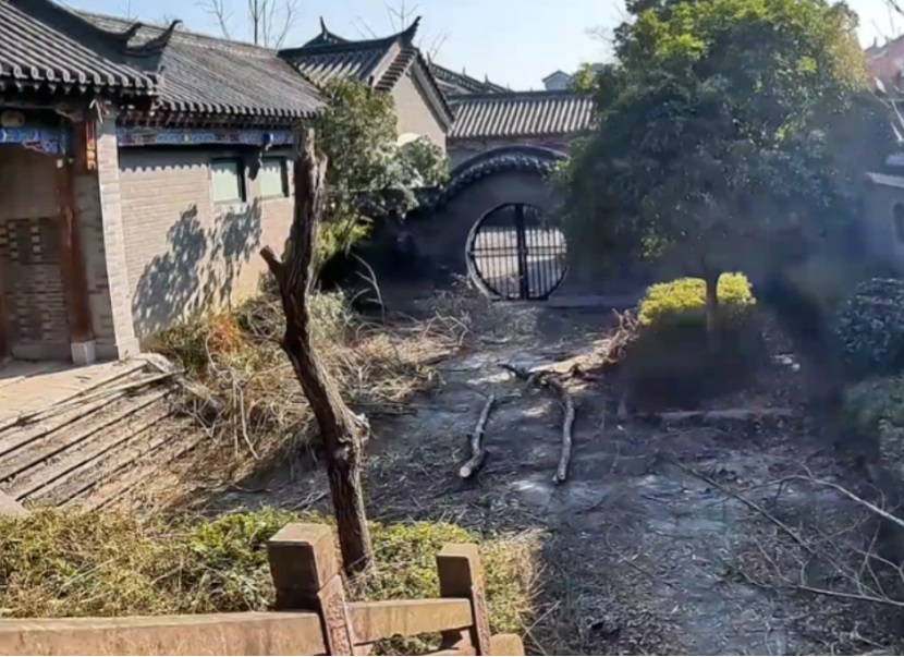 有些庭院里面杂草丛生