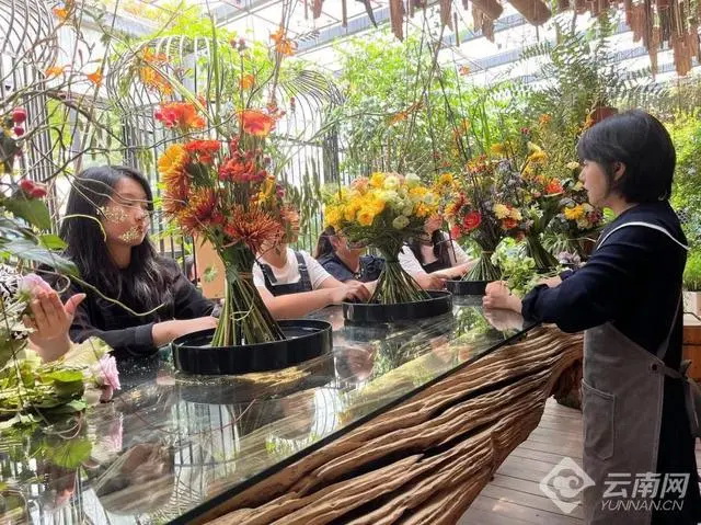 花旅融合让呈贡成“反向游”热门地