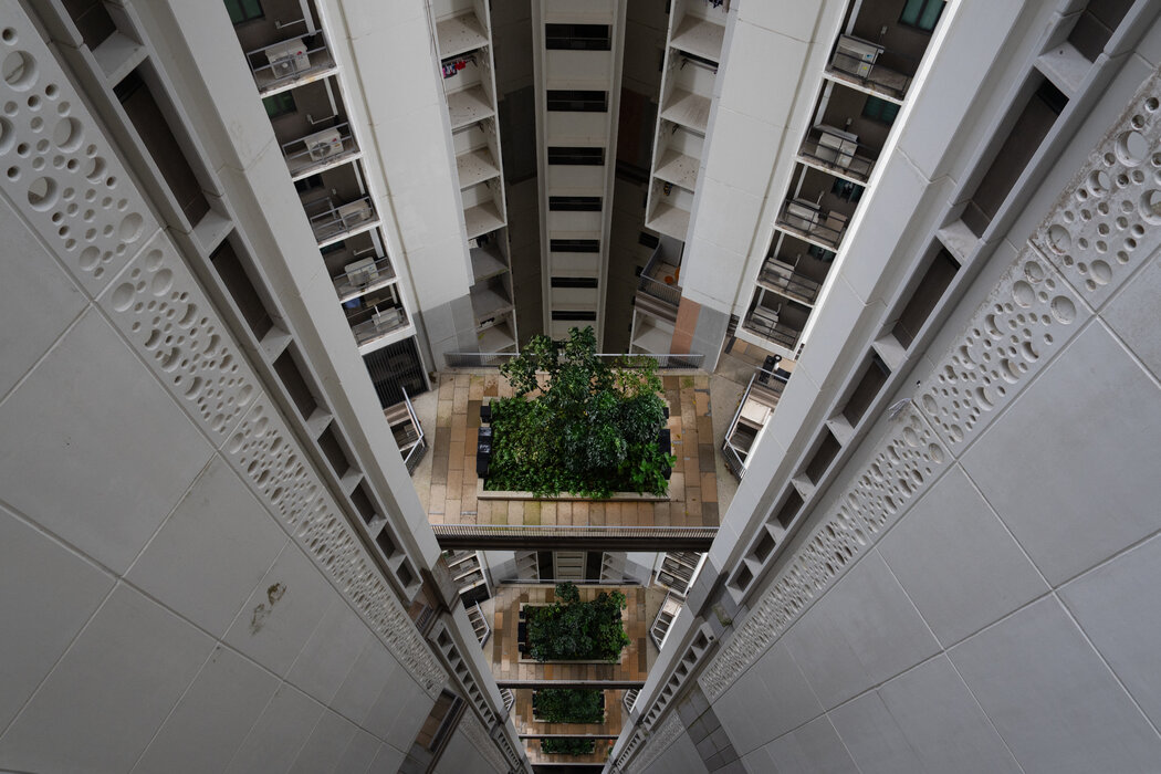 公共住宅楼楼层之间的绿化景观