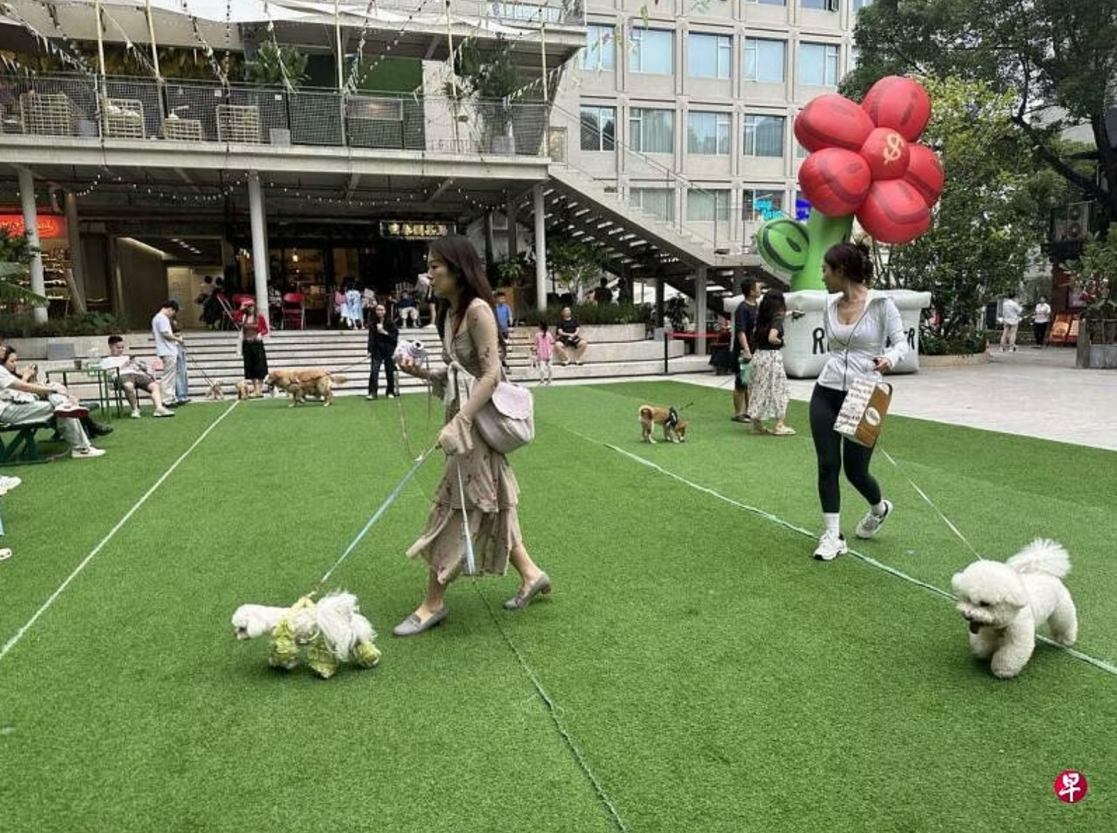 深圳福田区的“一个公园”（apark），主打人与宠物共同消费体验