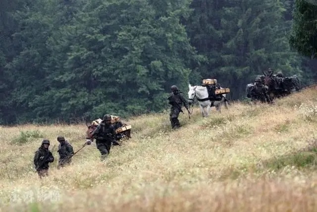 德国Bischofswiesen，德国陆军山地步兵旅开展军事演习