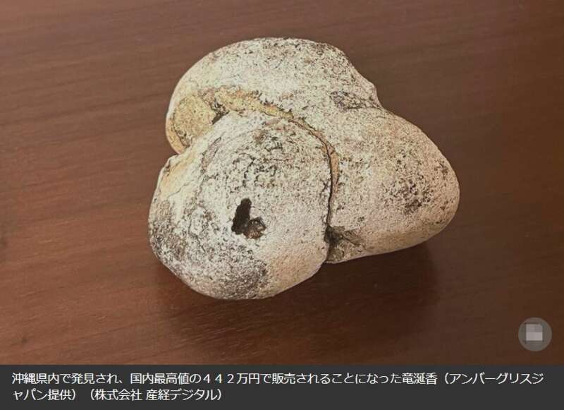 男子在冲绳岸边捡到龙涎香价值数百万