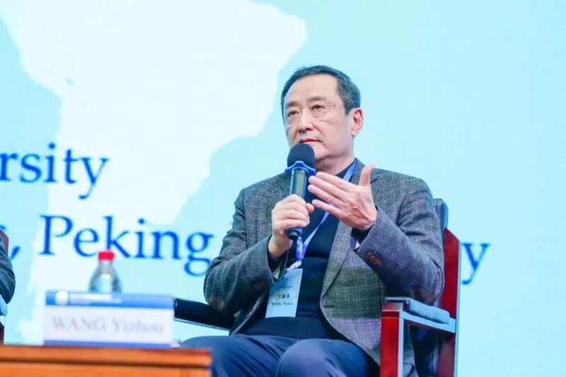 北京大学博雅特聘教授、中国国际关系学会副会长王逸舟