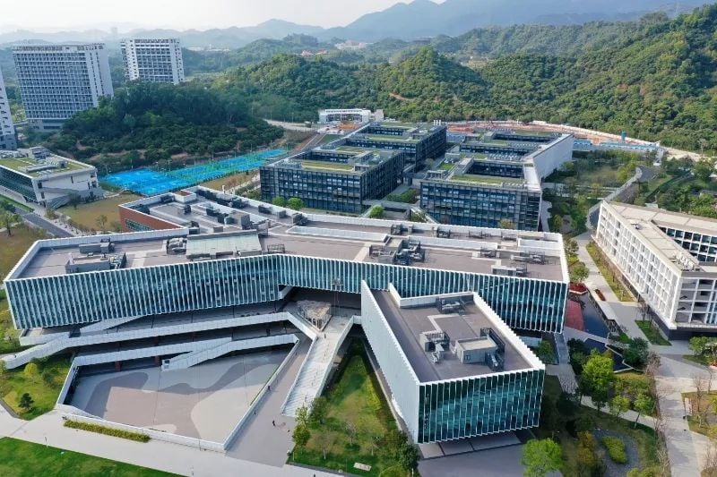 南方科技大学