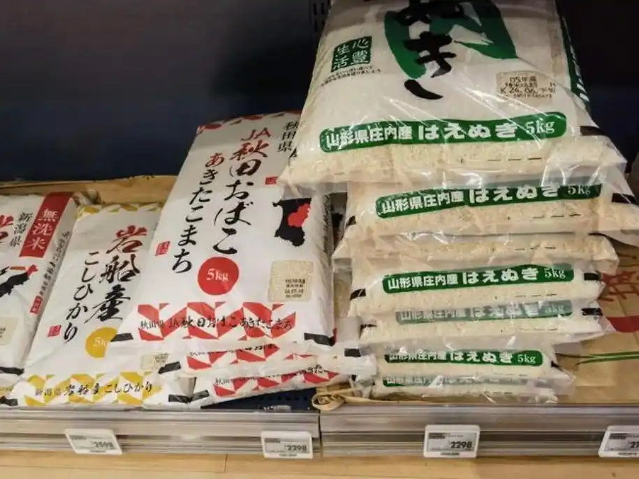 日本大米