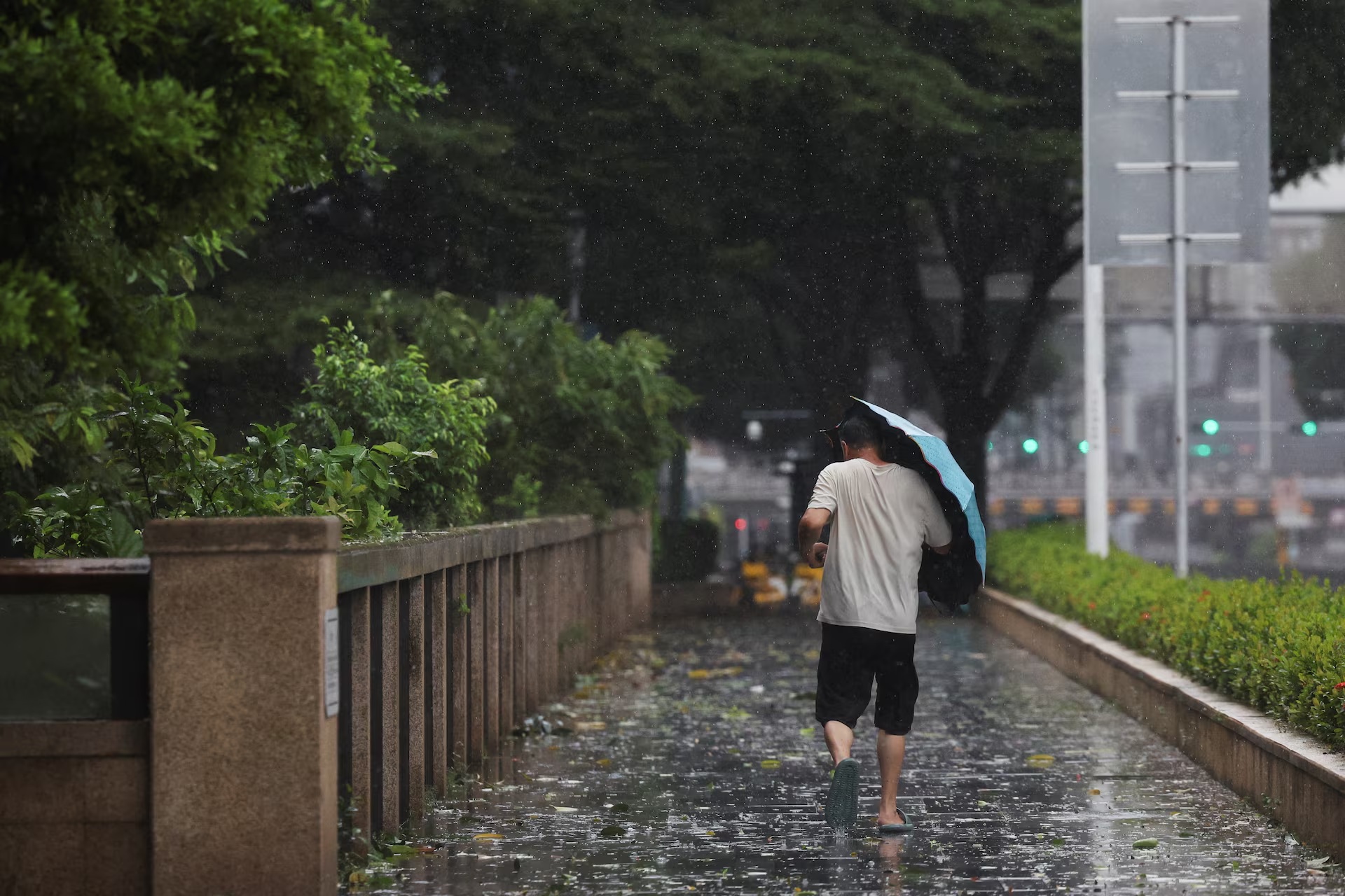 超强台风“桦加沙”逼近中国广东省深圳市时，一名男子冒着狂风暴雨前行